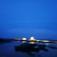 聪明芒果9x7D头像