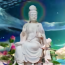 用户5685848222头像