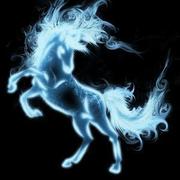 灵灵鸥的个人资料头像