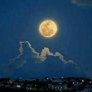 Andyliwr34381的个人资料头像