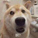 中意个歌仔的个人资料头像