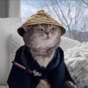 库里585的个人资料头像