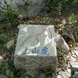 人不奋斗何来享受797头像