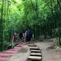 C钟哥头像