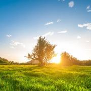 若昕若梦的个人资料头像