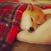 keepclam的个人资料头像