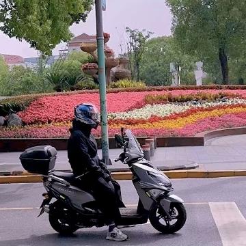 饿龄骑士头像