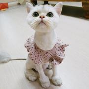 liwanzhen的个人资料头像