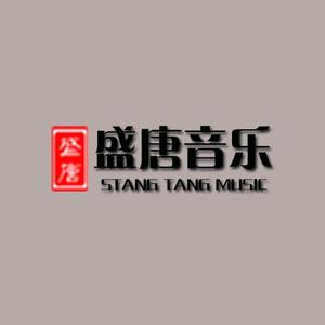 盛唐music头像