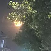用户7681678022771头像