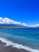 Wking的个人资料头像