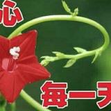 悠闲荣姐自媒体头像