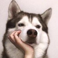 人字拖9z1n头像