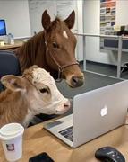 Nostalgia爱学习的个人资料头像