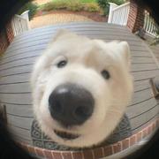 用户4303714195903的个人资料头像