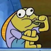 芙芙拉的个人资料头像