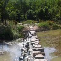 智慧农人伟伟头像