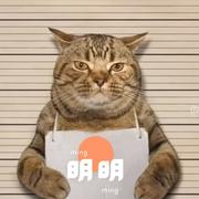 a二明的个人资料头像