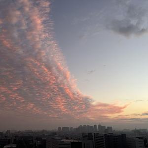 梦绕皇城月头像