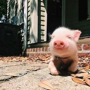 眼里有星河的个人资料头像