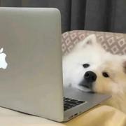 小曾曾曾日上的个人资料头像