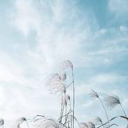 用户1742447066003的个人资料头像