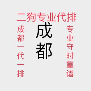 成都二狗专业代排团队头像