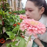 用户8706838274958头像