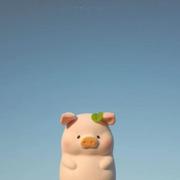 星河不可及的个人资料头像