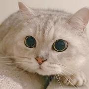 Rs211的个人资料头像