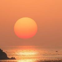 瓊qiong公主头像