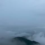 Mr许385头像