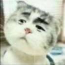 天的个人资料头像