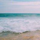 昌昌本尊的个人资料头像