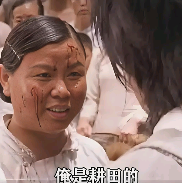 光阴的故事zmz头像