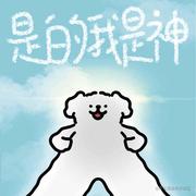 lea的个人资料头像