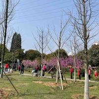 用户1141239220039头像