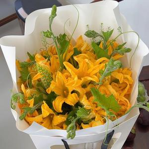 洋洋计洋洋头像