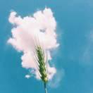 Garrett的个人资料头像