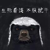 我就是四个圈头像