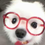 lucky_dog的个人资料头像