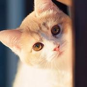 ambaby的个人资料头像