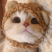 gougebiegou42的个人资料头像