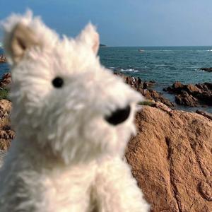 快乐的钢笔8X头像