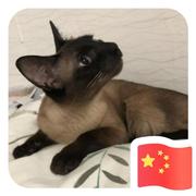 舞榕康的个人资料头像