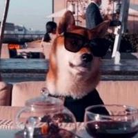 花落紫恒苑头像