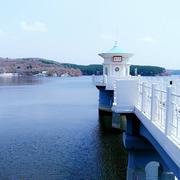 罗金龙的个人资料头像