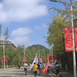 顽强精灵Pj头像