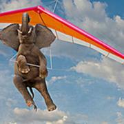 幂色飞花的个人资料头像