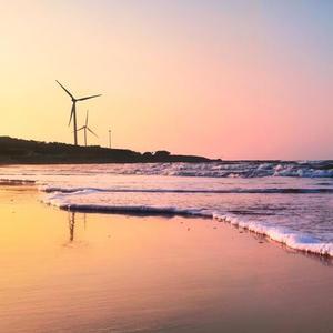 爱生活的雪梨MEE头像